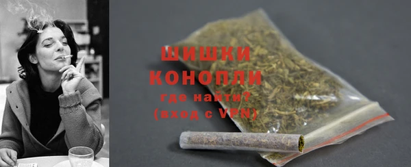 сатива Арсеньев