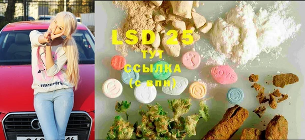 ГАЛЛЮЦИНОГЕННЫЕ ГРИБЫ Новозыбков